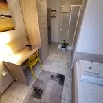 Apartament Pelech *
