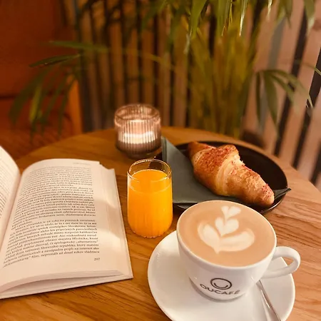 Pelech 公寓 特伦钦温泉区